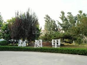 石家庄桃园爆料最新消息,揭秘神秘事件背后的真相  第1张